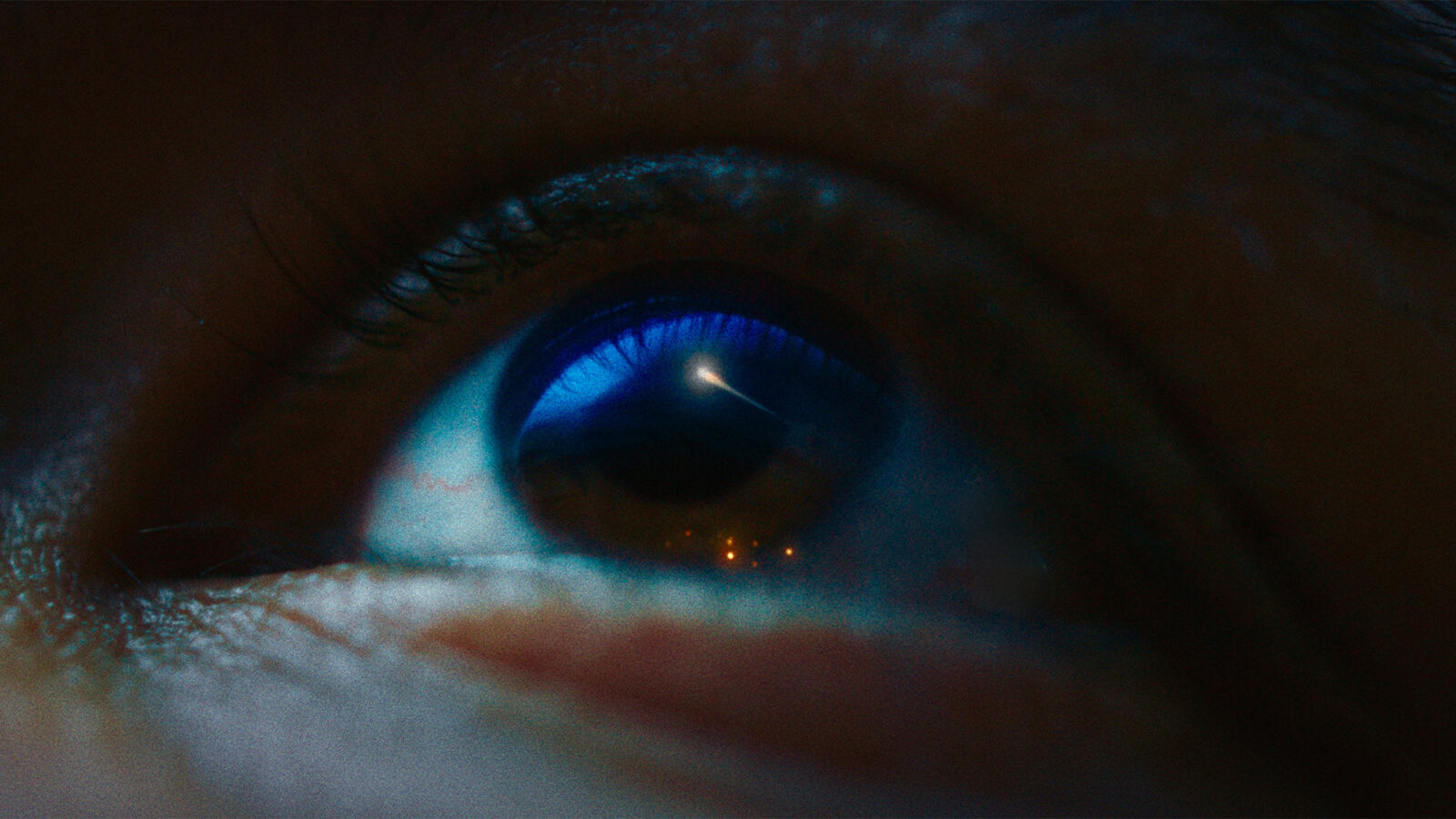 Kortfilmprogram Vika Nærbilde av et øye med blå iris og lysrefleks i pupillen