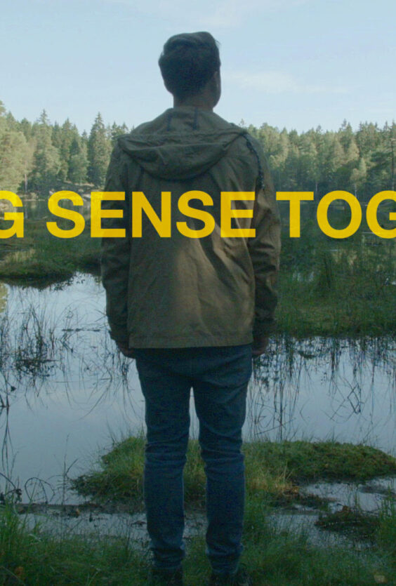 MAKING SENSE TOGETHER