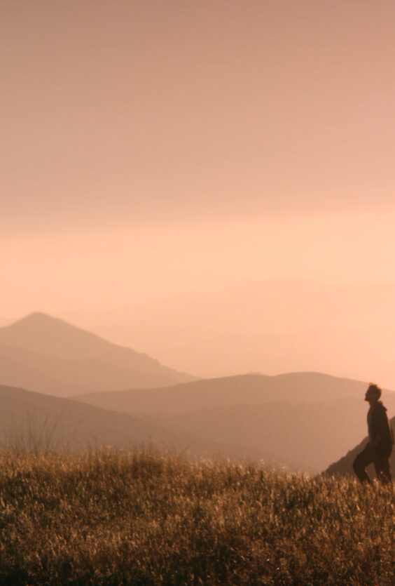 THE ENDLESS