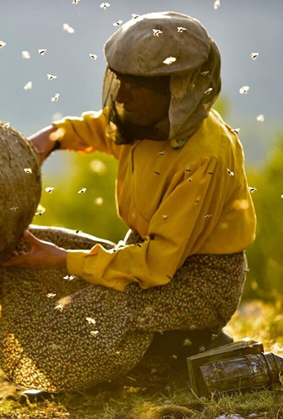 Honeyland