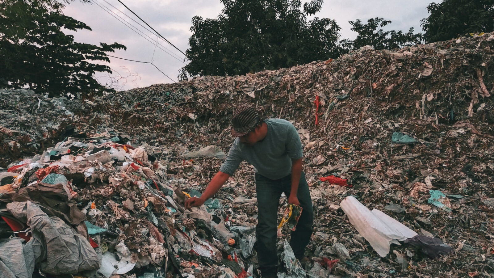 The story of plastic
