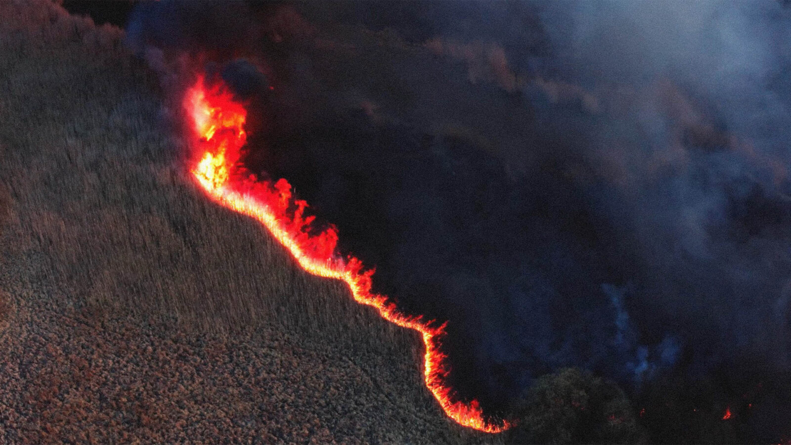 Divia Et område med gress og vegetasjon sett ovenfra En lang linje med flammer brenner gjennom landskapet Tett mørk røyk dekker store deler av bildet
