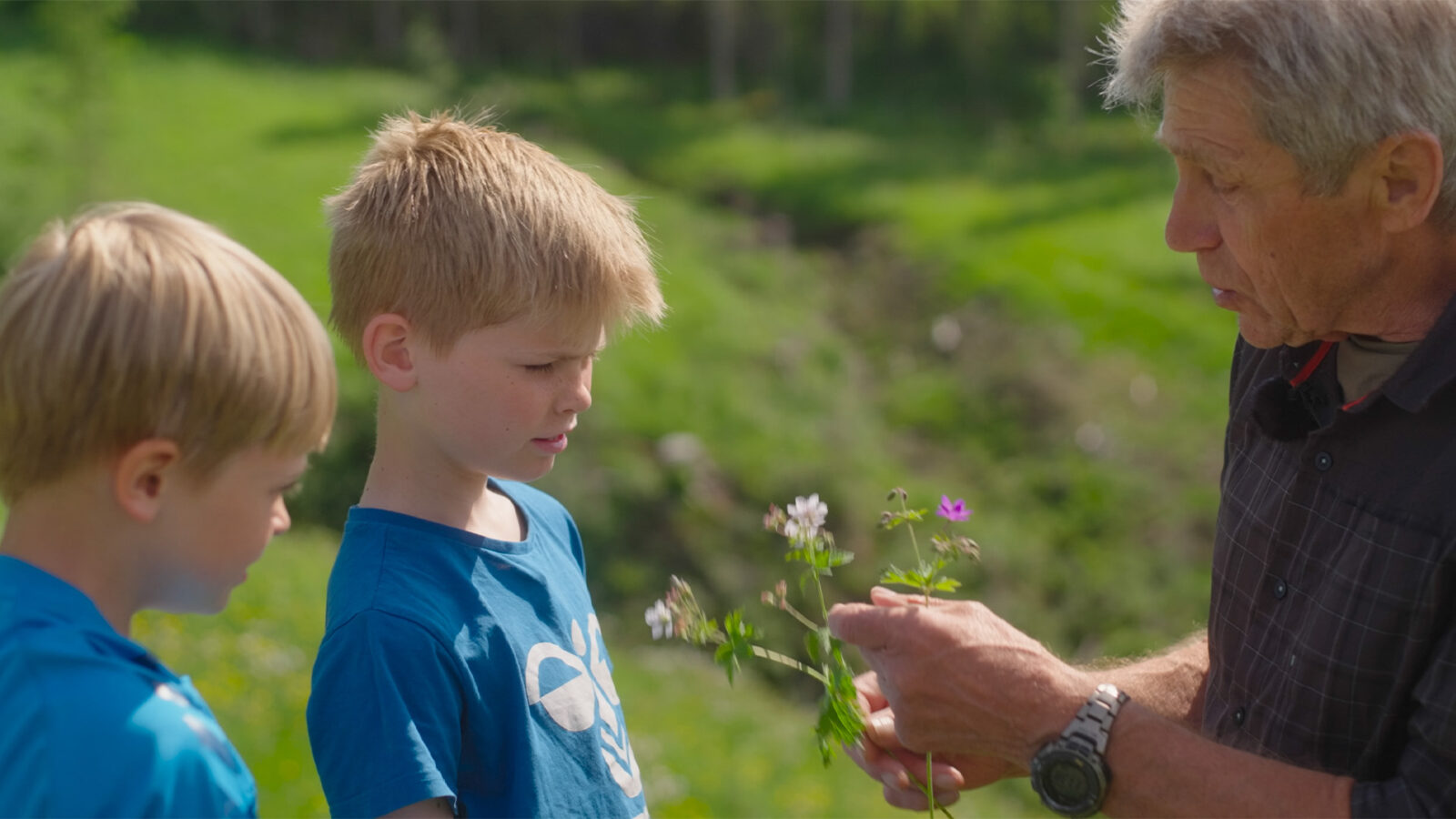 Ilden vannet luften jorden To gutter i blå t skjorter og en eldre mann i mørk skjorte står ute på gress Mannen holder blomster i hånden
