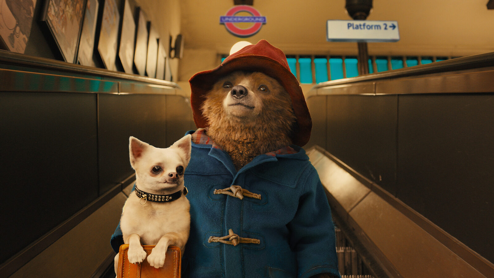 Paddington En bjørn med rød hatt og blå jakke står på en rulletrapp ved siden av en liten hvit hund med halsbånd Skilt med Underground og Platform 2 er synlige bak