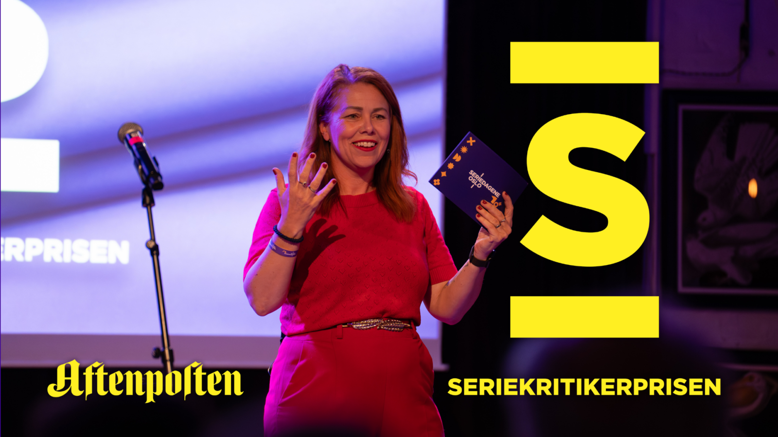 Seriekritikerprisen